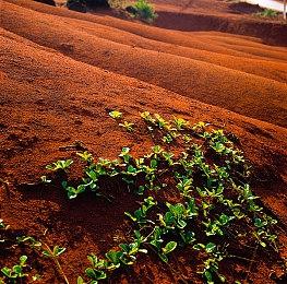 演绎推理游戏《重返犯罪现场》现已登录Steam，支持中文